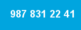 987 831 22 41 987 831 22 41